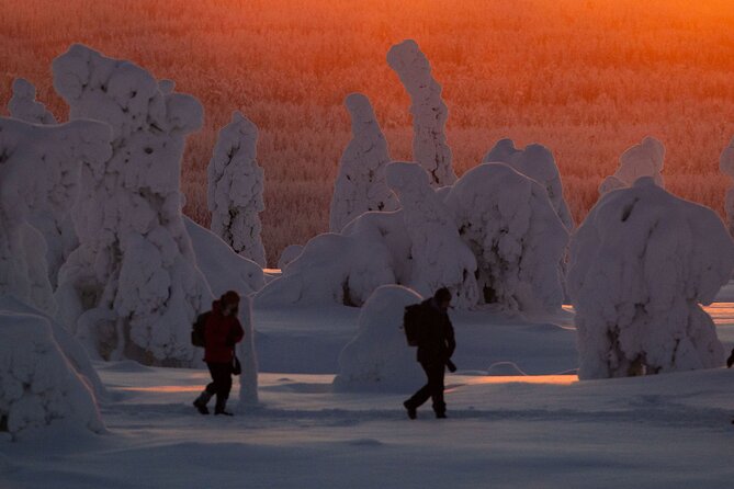 Riisitunturi Snow Monsters Winter Hike from Rovaniemi with Lunch - Why Riisitunturi snow monsters are the star of this winter hike