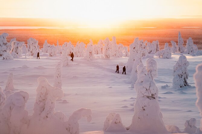 Riisitunturi Snow Monsters Winter Hike from Rovaniemi with Lunch - The open-fire BBQ lunch: warmth, fuel, and a real break from winter