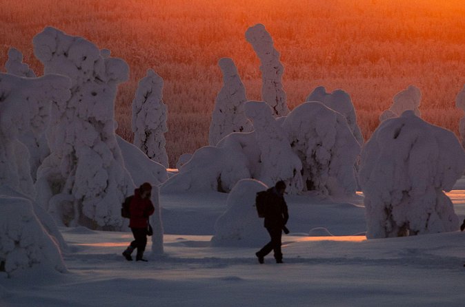 Riisitunturi Snow Monsters Winter Hike from Rovaniemi with Lunch - Gear checklist: thermal overalls and boots, plus what you still need