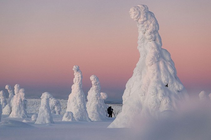 Riisitunturi Snow Monsters Winter Hike from Rovaniemi with Lunch - Who should book this Riisitunturi Snow Monsters winter hike