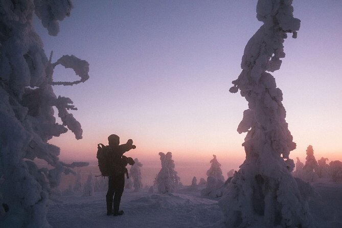 Riisitunturi Snow Monsters Winter Hike from Rovaniemi with Lunch - Weather matters, and it can change the day