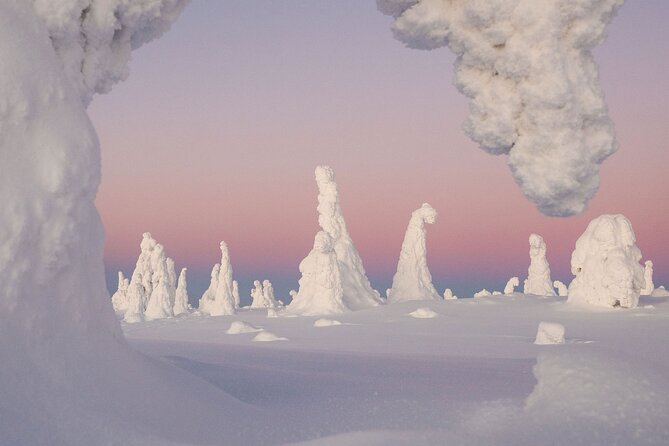 Riisitunturi Snow Monsters Winter Hike from Rovaniemi with Lunch - Stop 1: Riisitunturi National Park and how you’ll “read” the snow monsters