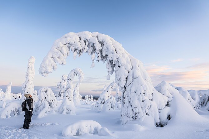 Riisitunturi wilderness adventure - Riisitunturi National Park: Your Main 4 Hours of Winter Photo Magic