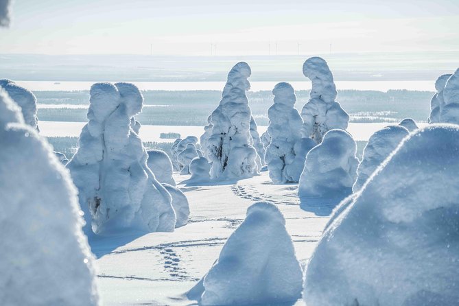 Riisitunturi wilderness adventure - Transportation and Small-Group Comfort from Rovaniemi