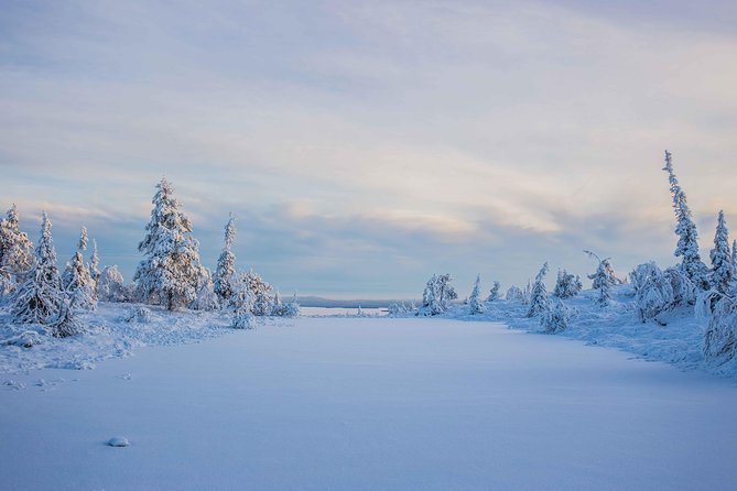 Riisitunturi wilderness adventure - Edited Photos After the Tour: The Secret Benefit