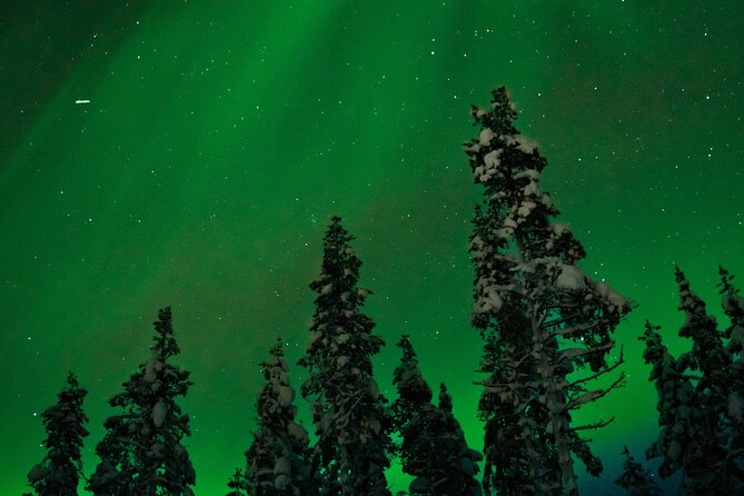 Rovaniemi 2 days Activities Package - Price and value: what you are paying for at $464.99 per person