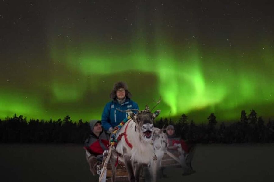 Rovaniemi: 2km Aurora Reindeer Safari Through the Forest - Key Points at a Glance