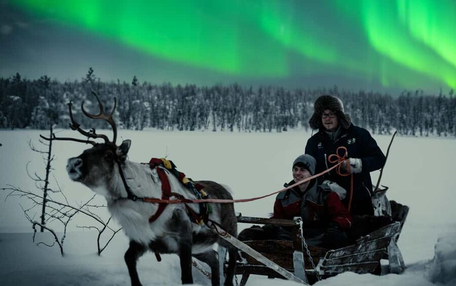 Rovaniemi: 2km Aurora Reindeer Safari Through the Forest - Why This Rovaniemi Reindeer Safari Feels Different Than a Checklist Tour
