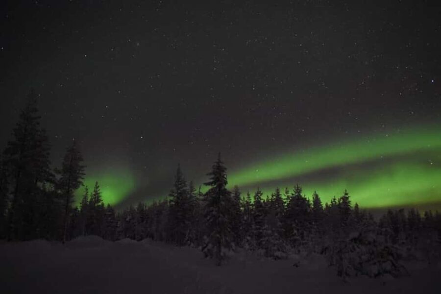 Rovaniemi: 2km Aurora Reindeer Safari Through the Forest - The 3-Hour Flow: Pickup to Firelight, without the Guesswork