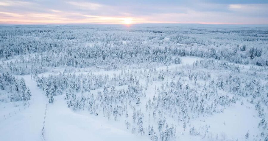 Rovaniemi: 2km Reindeer Sled Ride Through the Forest - Dressing Right: Thermal Overalls, Winter Boots, and a Cozy Sled