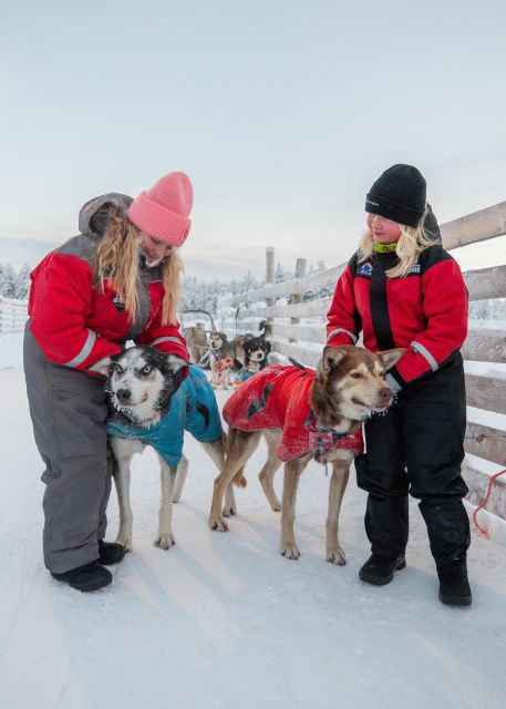 Rovaniemi: 4-5 km Self-Drive Husky Sled Through the Forest - Key Points to Know Before You Go