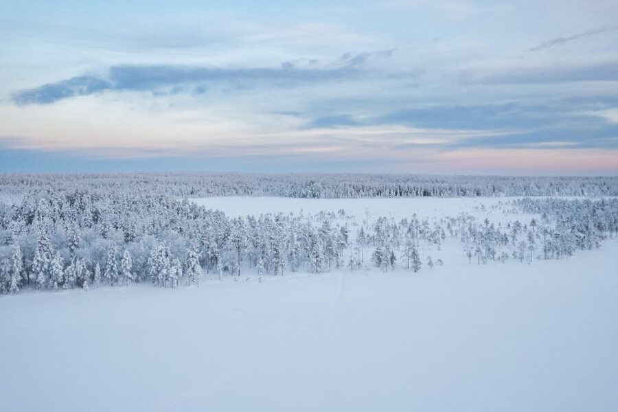 Rovaniemi: 4-5 km Self-Drive Husky Sled Through the Forest - Why This Rovaniemi Husky Safari Feels Like More Than a Ride