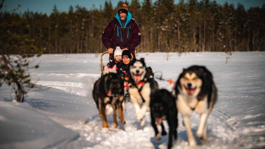 Rovaniemi: 4-5 km Self-Drive Husky Sled Through the Forest - The 3-Hour Game Plan: Pickups, Transfer Time, and When You’re Actually on the Trail