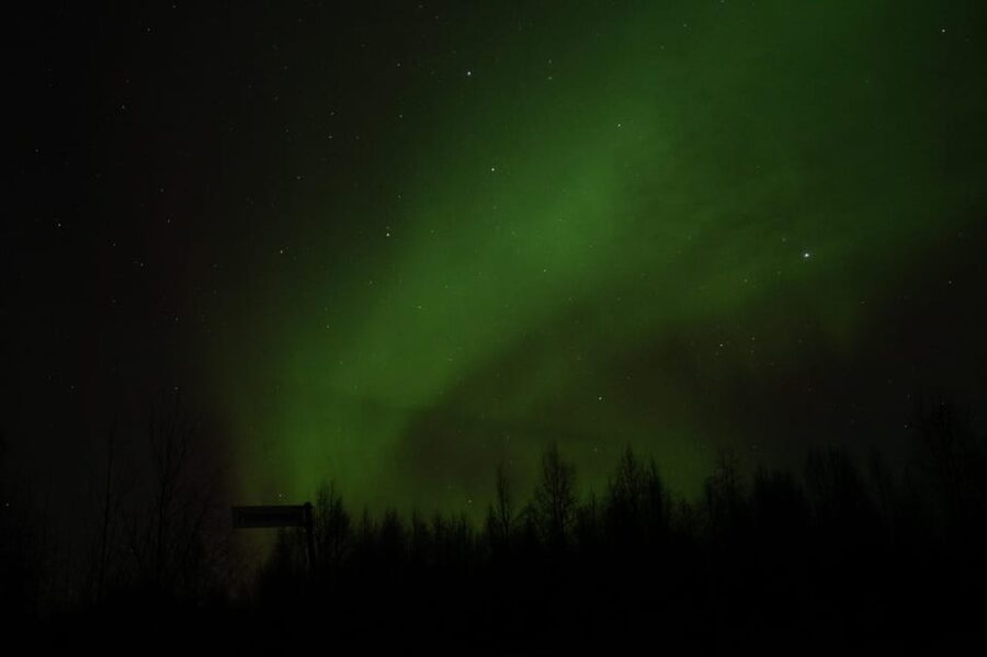 Rovaniemi: 97.3% Success Rate Aurora Group Tour with Photos - Key things I’d highlight before you go