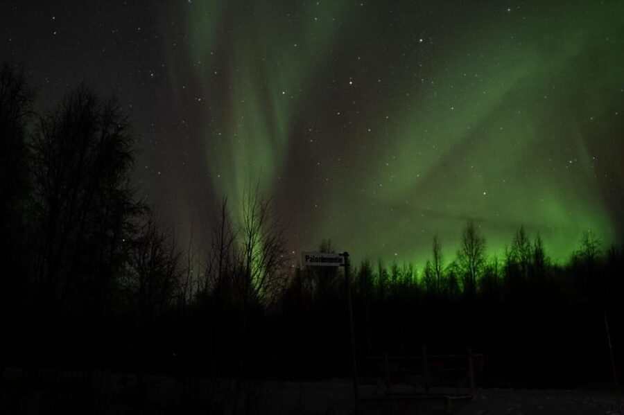 Rovaniemi: 97.3% Success Rate Aurora Group Tour with Photos - Entering the Rovaniemi Aurora Night: 7:00 PM Pickup, 5 Hours of Chasing