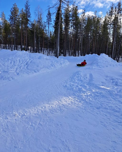 Rovaniemi: A Day Ticket to Kotatieva - A practical day plan from 10 am to 3 pm