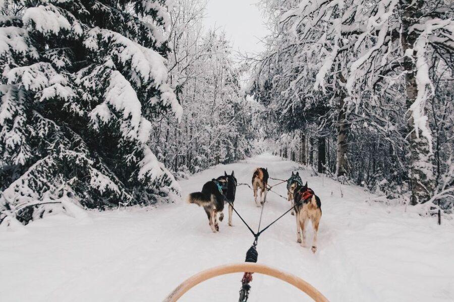 Rovaniemi: Apukka Husky Adventure 7km, self-driven - Getting to Apukka Resort and Finding the Husky Farm