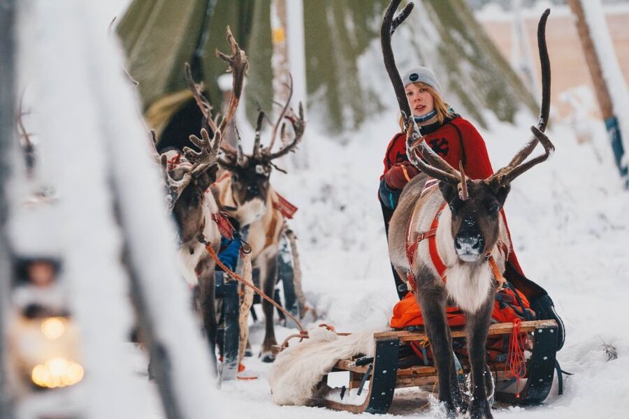 Rovaniemi: Apukka Reindeer Journey - Small practical tips that make the biggest difference