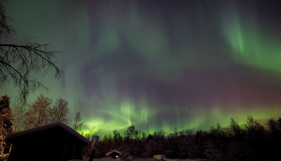 Rovaniemi: Apukka Reindeer Sleigh Ride at Night - Key Takeaways Before You Go