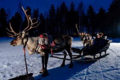Apukka Reindeer Sleigh Ride at Night