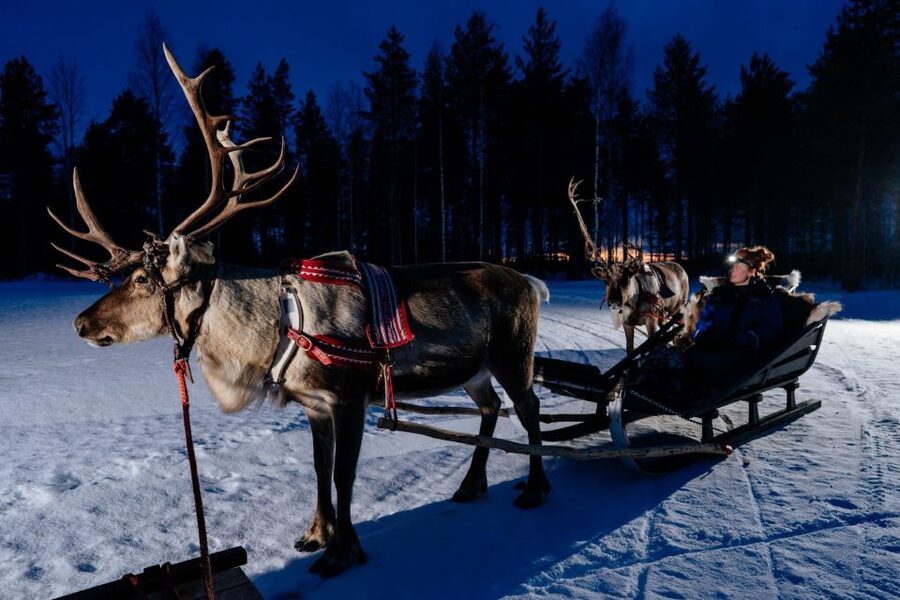 Rovaniemi: Apukka Reindeer Sleigh Ride at Night - Pickup Points and Timing: The Part That Can Trip You Up