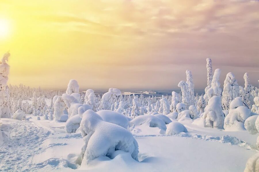 Rovaniemi: Arctic Animals Sleigh Rides and Wildlife Zoo - Starting in Rovaniemi: the pickup plan and what it means for your day