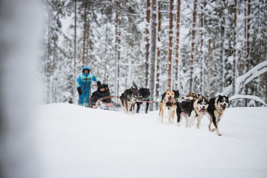 Rovaniemi: Arctic Circle Highlights by Snowmobile - How the 7-hour Arctic Circle day actually flows
