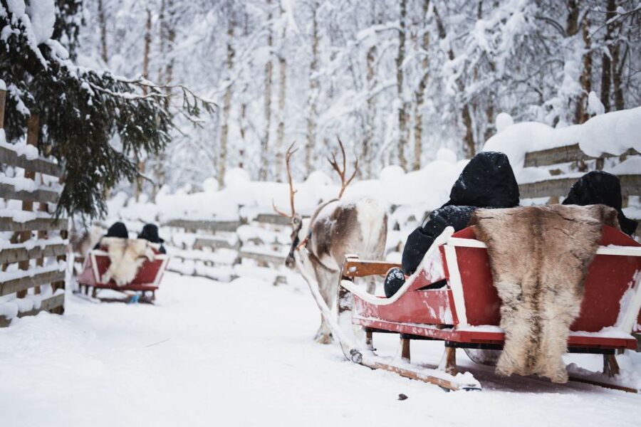 Rovaniemi: Arctic Circle Highlights by Snowmobile - Snowmobile training first, then the main 1-hour Arctic Circle ride