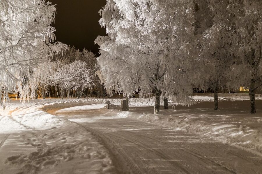 Rovaniemi: Arctic Ice Karting Tour - Why Arctic Ice Karting in Rovaniemi Feels Like a Real Race