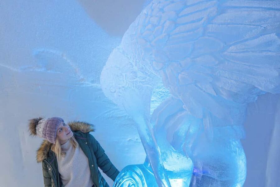 Rovaniemi: Arctic SnowHotel Tour - The Guided Part: 45 Minutes to Understand the Ice World