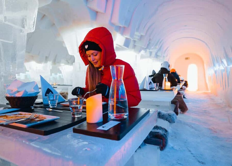Rovaniemi: Arctic SnowHotel Tour and Dinner with Transfers - Key highlights you should care about