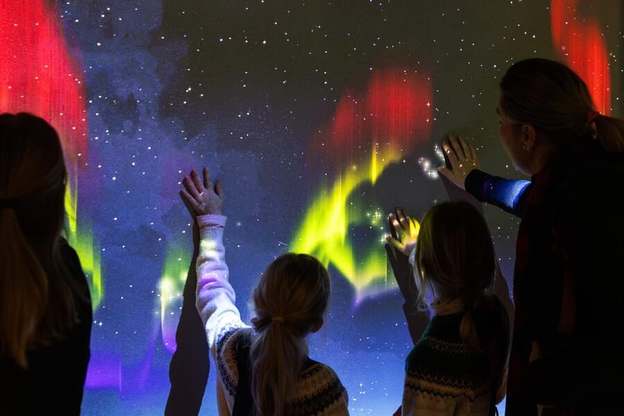 Rovaniemi: Arktikum Science Centre and Museum Entry Ticket - Key highlights you can plan around