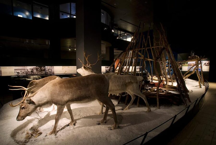 Rovaniemi: Arktikum Science Centre and Museum Entry Ticket - Northern Lights explained: animation plus facts plus stories