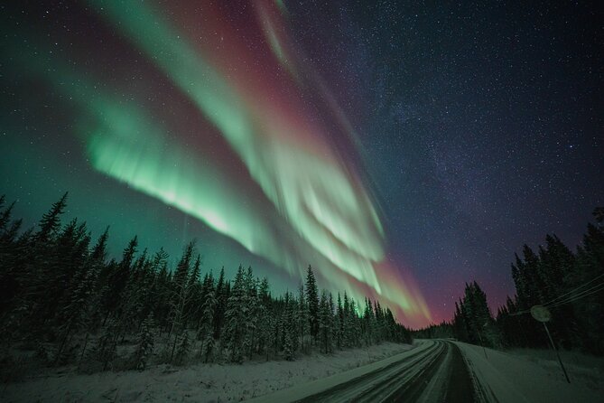 Rovaniemi: Aurora Activity Guarantee - 97% Success Rate Tour - Key Things I’d Watch for Before You Go