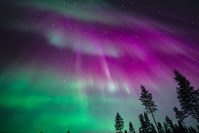Rovaniemi: Aurora Activity Guarantee - 97% Success Rate Tour - How the Aurora Activity Guarantee Runs on Solar-Wind Tracking