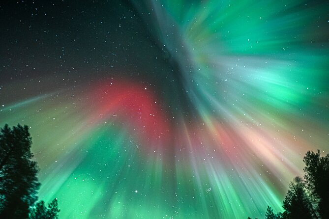 Rovaniemi: Aurora Activity Guarantee - 97% Success Rate Tour - Guides, Group Dynamics, and Why Small Vehicles Can Matter