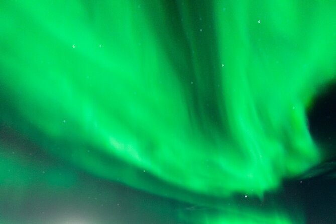 Rovaniemi: Aurora Activity Guarantee - 97% Success Rate Tour - Price and What Actually Makes It Feel Worth It