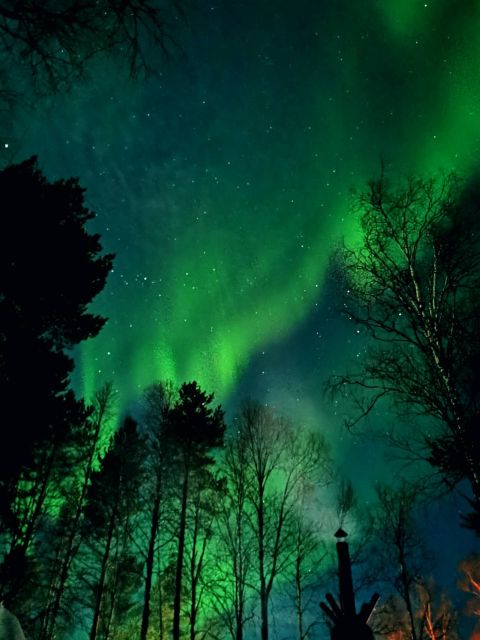 Rovaniemi: Aurora BBQ at the Best Spots - Price and value: what $111 includes, and what you should compare