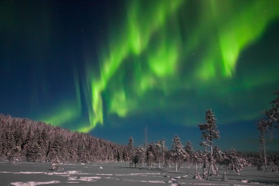 Rovaniemi: Aurora Borealis and Picnic - Price and value: what $108 buys you in Rovaniemi