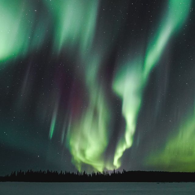 Rovaniemi: Aurora Borealis Hunting Photo Tour - The 4-hour plan, from pickup to your camera check