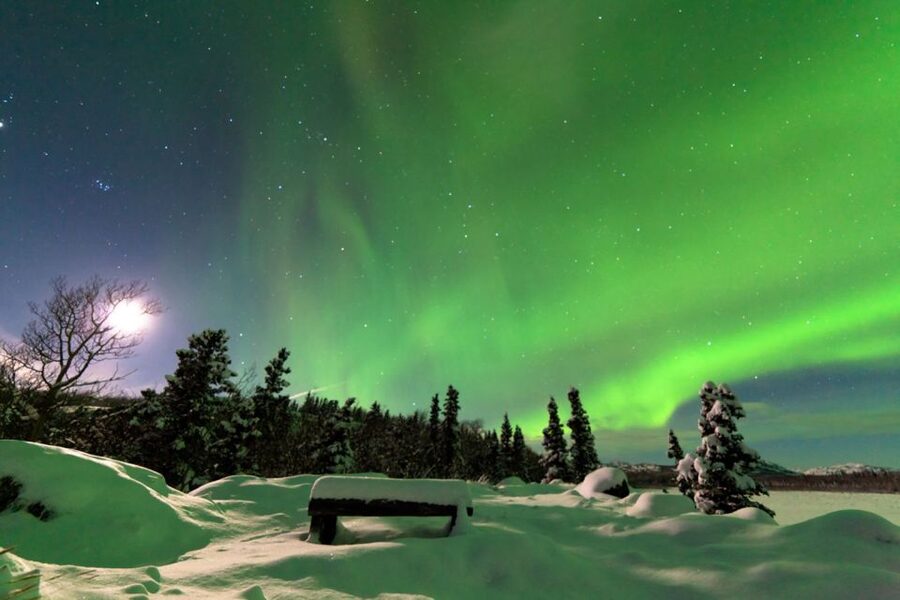 Rovaniemi: Aurora Borealis Snowmobile Safari with Campfire - Rovaniemi After Dark: Why This Aurora Snowmobile Safari Feels Special