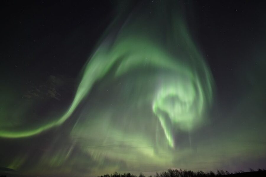 Rovaniemi: Aurora Borealis Tour - Price and value: is $135 fair for Lapland winter time?