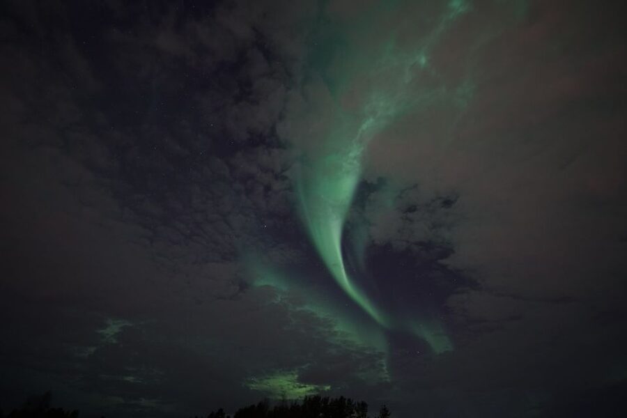 Rovaniemi: Aurora Borealis Tour - What to bring so you are comfortable the whole time