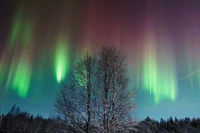 Rovaniemi: Aurora Hunt with Photograph & money back guarantee - What makes this aurora hunt better (and for whom)