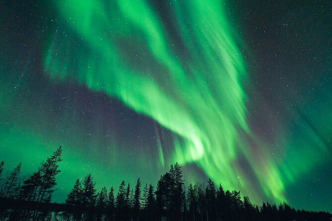 Rovaniemi: Aurora Hunt with Photograph & money back guarantee - Aurora chasing starts at 6:00 pm, not at first light