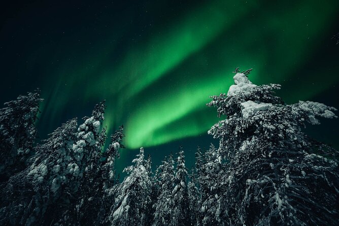 Rovaniemi: Aurora Hunt with Photograph & money back guarantee - Photo help is the main event, not an add-on