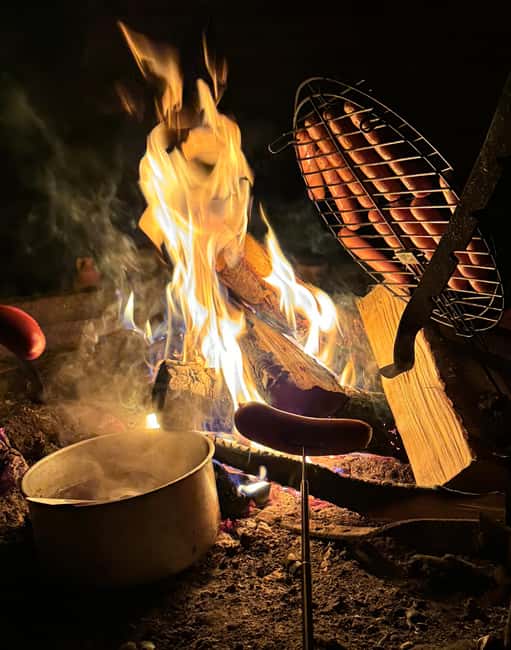 Rovaniemi: Aurora hunting and a fireside BBQ experience - A four-hour Northern Lights hunt that starts with smart timing