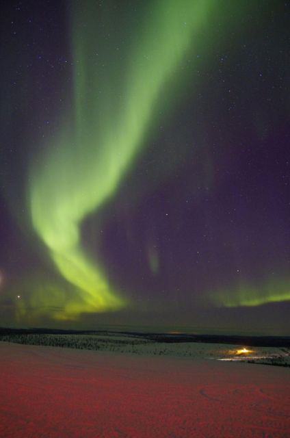 Rovaniemi: Aurora Hunting Photography Tour(98% Success Rate) - Key things that make this aurora tour work