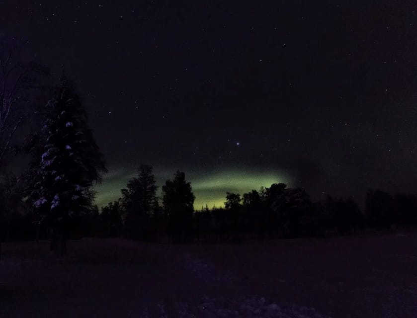 Rovaniemi: Aurora Hunting Tour in the Forest with Hot Drinks - Key points to know before you go