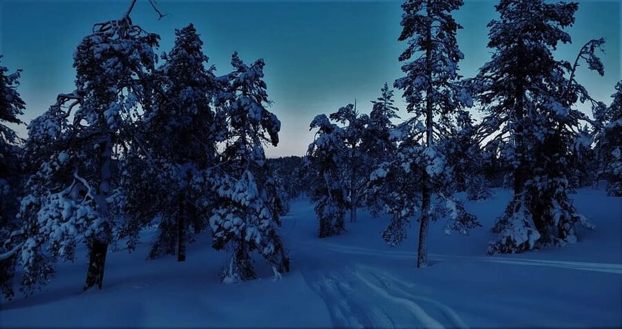 Rovaniemi: Aurora Hunting Tour in the Forest with Hot Drinks - How the 3-hour Rovaniemi aurora tour actually runs